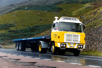 dennison4qirl 3841fi 1_gc