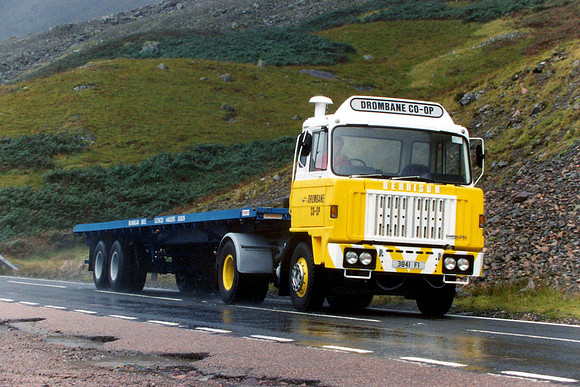 dennison4qirl 3841fi 1_gc
