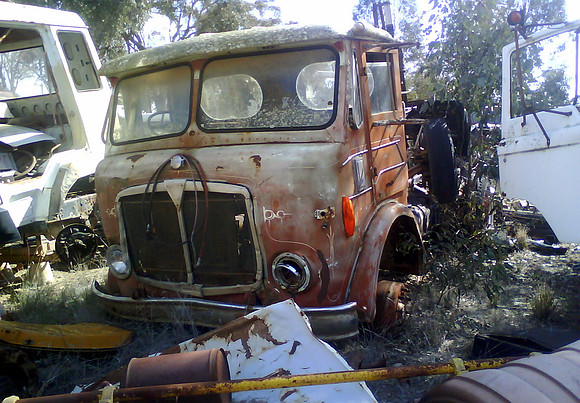 monarch6qau_aw_1