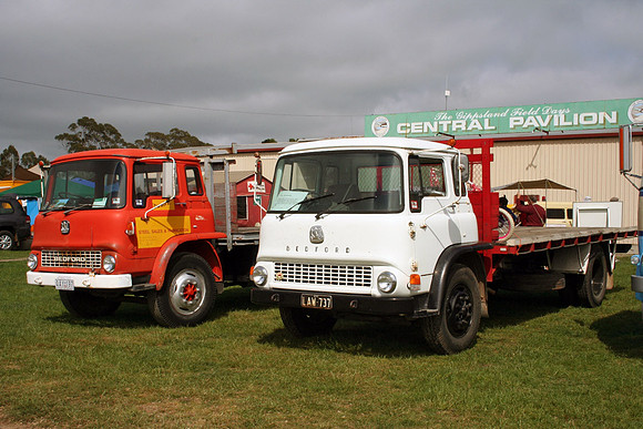 bedford_tk5qau law737 1_aw