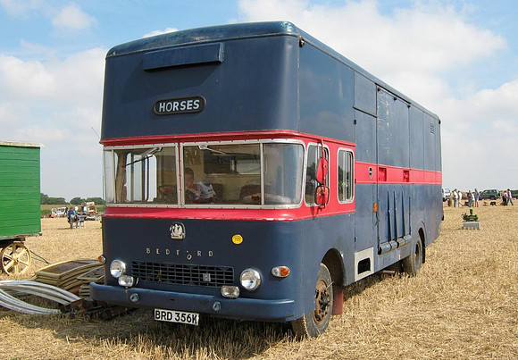 bedford_tk5k brd356k 1_hc