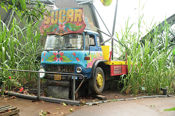 Eden Project TK