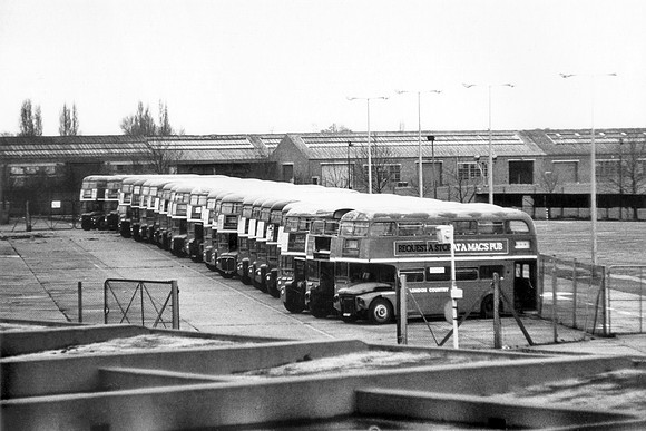 LCBS Routemasters