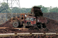 mammoth4-6b_m25-0011_jp