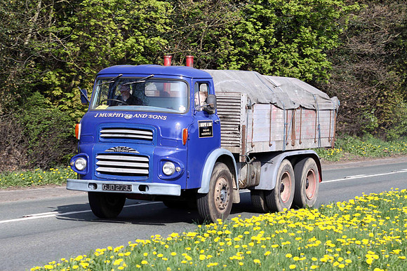 Albion Reiver GJD273J