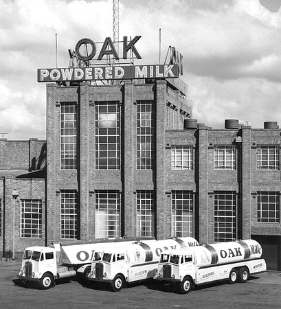 AEC Mammoth Major 6 Mk IIIs, Hunter Valley Dairy