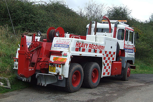 scammell_crusadert btx314t 1b_dg
