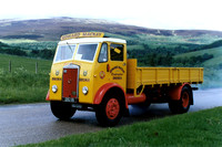 GSU119