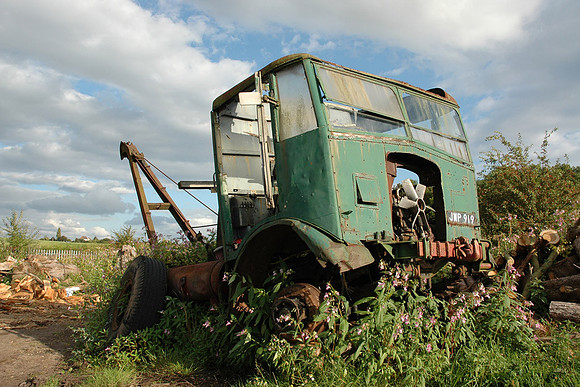 matadora jwp919 1_sh