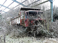 mammoth4-6b_m25_sh_1a