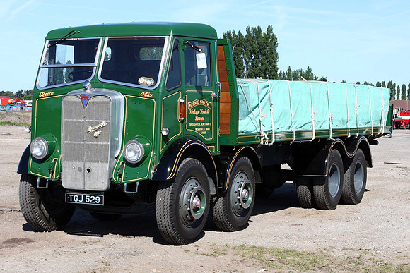 mammoth3-8a tgj529 3a_90524_gc