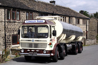 1973 AEC Mammoth Major BAK449L