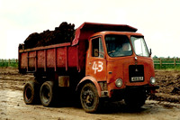 mammoth4-6b_m25-0026_jp