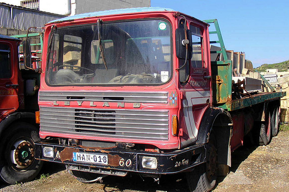 mammotht8qm han018 1a_ps