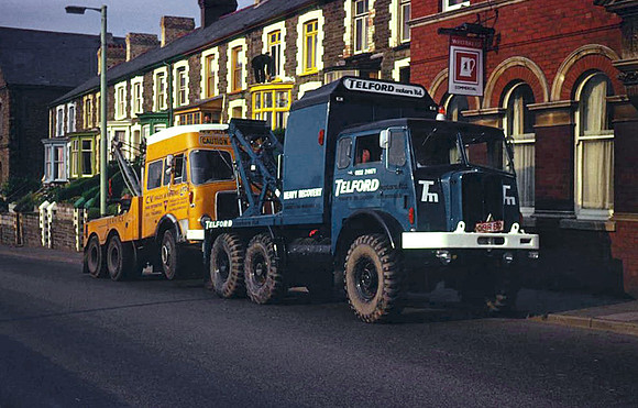 Militant & Mammoth Major