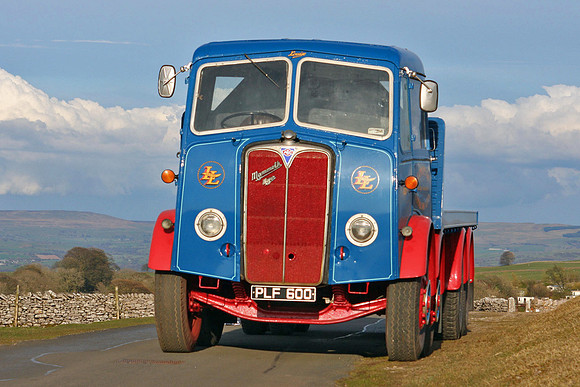 1955 AEC Mammoth Major PLF600
