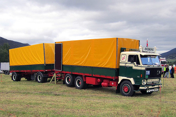 1975 Volvo F89 CC53477