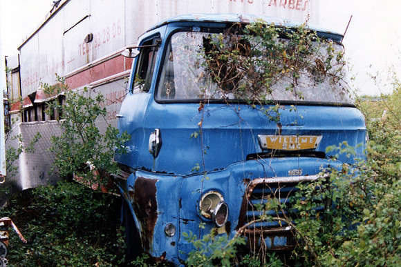 morris4_fhqf_df_1