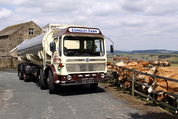 1973 AEC Mammoth Major BAK449L