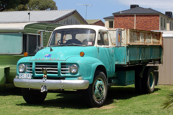 bedford_tj2bqau qms341 1_aw